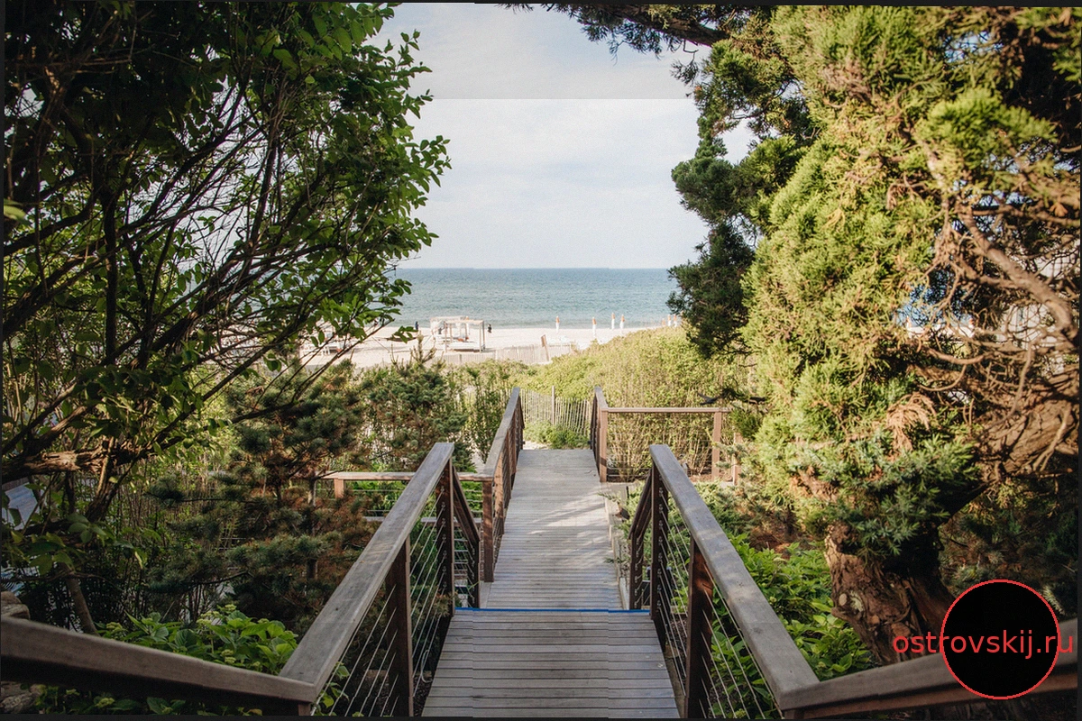Горько-сладкое возвращение матери и сына в Хэмптонс на оздоровительный уикенд