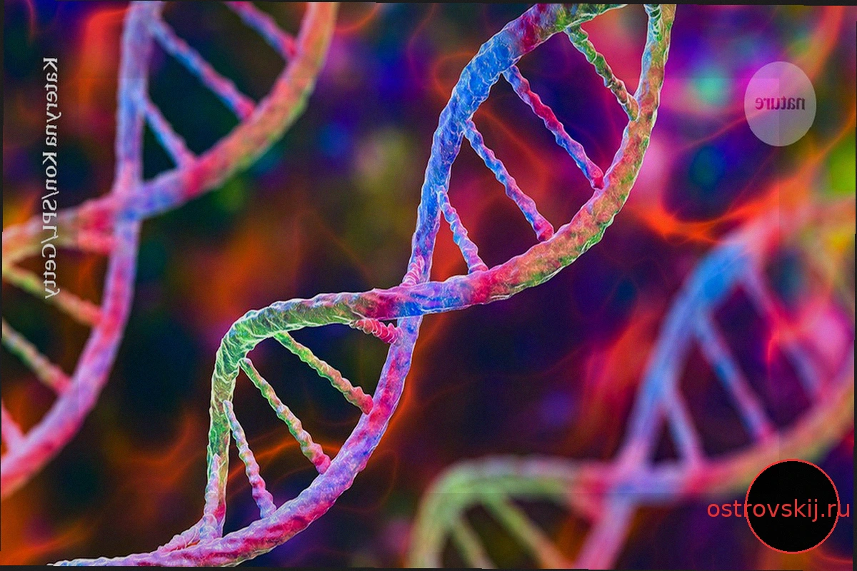 Открытие ИИ-лаборатории Anthropic: CRISPR-подобная ДНК в вирусах